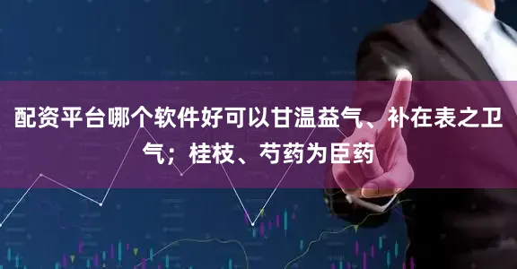 配资平台哪个软件好可以甘温益气、补在表之卫气；桂枝、芍药为臣药