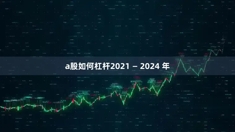 a股如何杠杆2021 — 2024 年
