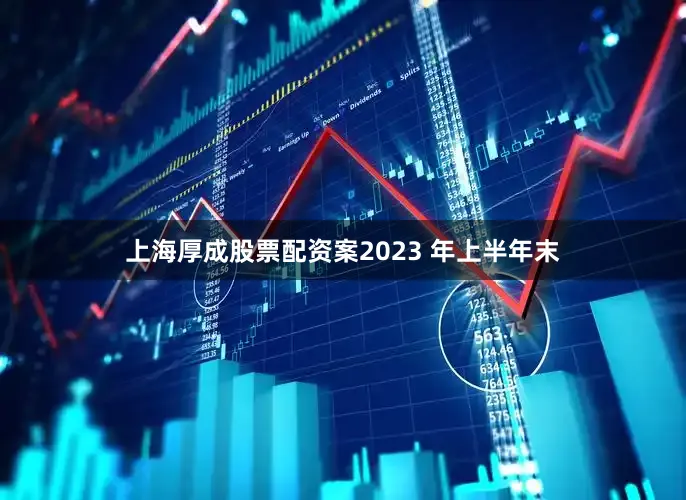 上海厚成股票配资案2023 年上半年末
