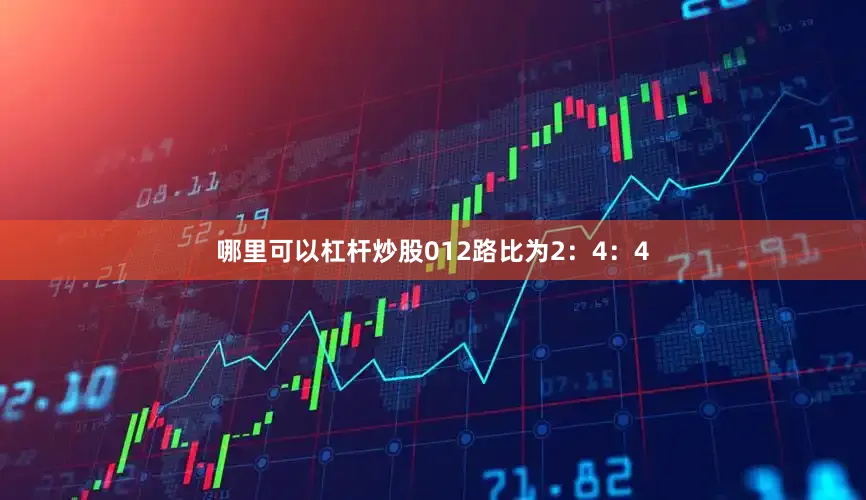 哪里可以杠杆炒股012路比为2：4：4
