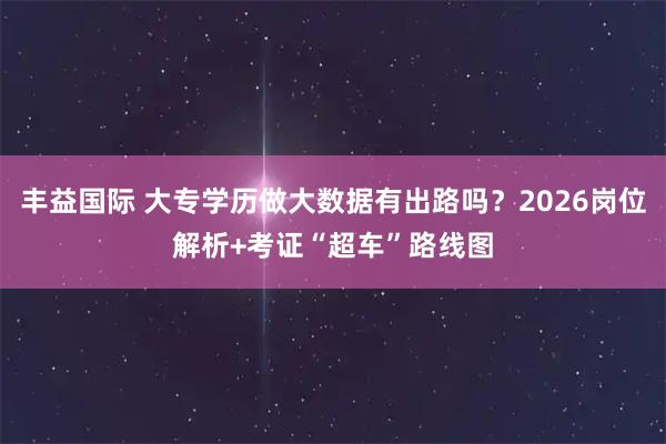 丰益国际 大专学历做大数据有出路吗？2026岗位解析+考证“超车”路线图