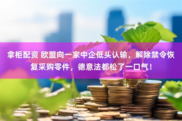 拿柜配资 欧盟向一家中企低头认输，解除禁令恢复采购零件，德意法都松了一口气！