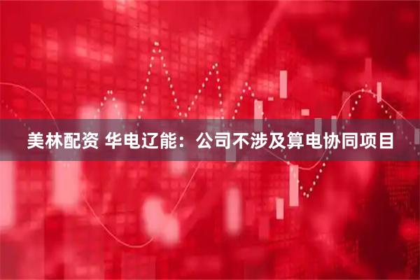 美林配资 华电辽能：公司不涉及算电协同项目
