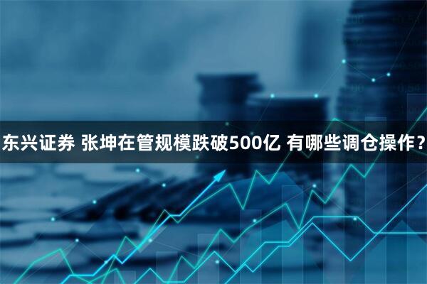 东兴证券 张坤在管规模跌破500亿 有哪些调仓操作？
